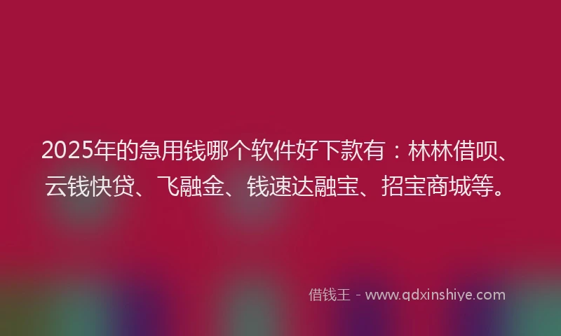 2025年的急用钱哪个软件好下款有：林林借呗、云钱快贷、飞融金、钱速达融宝、招宝商城等。