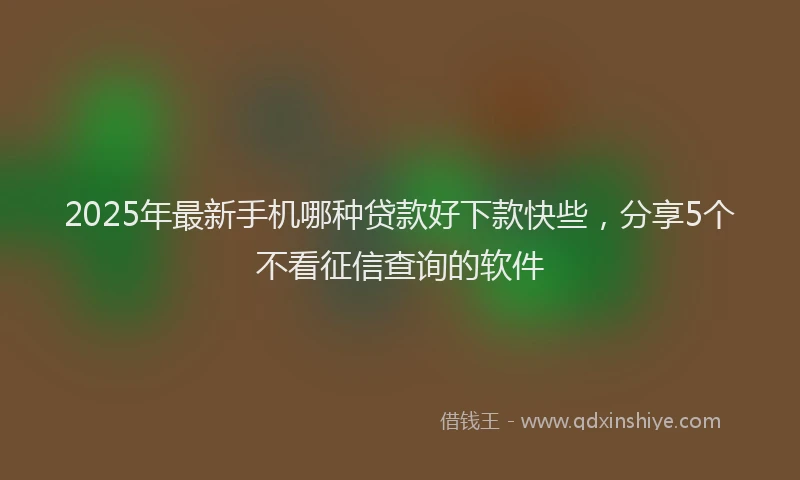 2025年最新手机哪种贷款好下款快些，分享5个不看征信查询的软件