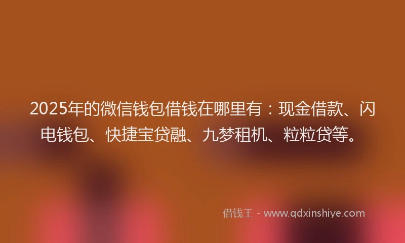 2025年的微信钱包借钱在哪里有：现金借款、闪电钱包、快捷宝贷融、九梦租机、粒粒贷等。
