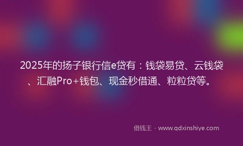 2025年的扬子银行信e贷有：钱袋易贷、云钱袋、汇融Pro+钱包、现金秒借通、粒粒贷等。