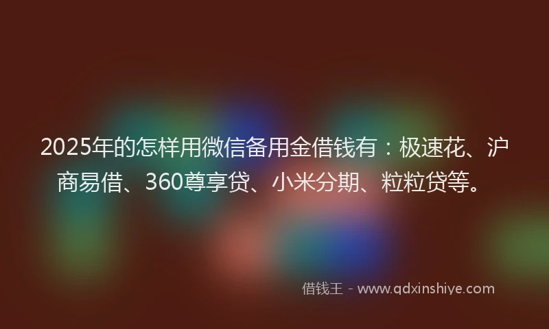 2025年的怎样用微信备用金借钱有：极速花、沪商易借、360尊享贷、小米分期、粒粒贷等。