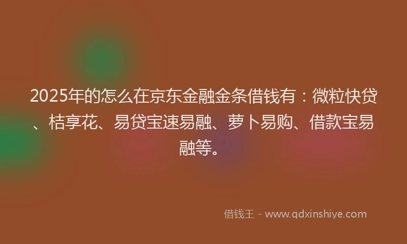 2025年的怎么在京东金融金条借钱有：微粒快贷、桔享花、易贷宝速易融、萝卜易购、借款宝易融等。