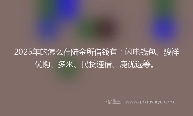 2025年的怎么在陆金所借钱有：闪电钱包、骏祥优购、多米、民贷速借、鹿优选等。