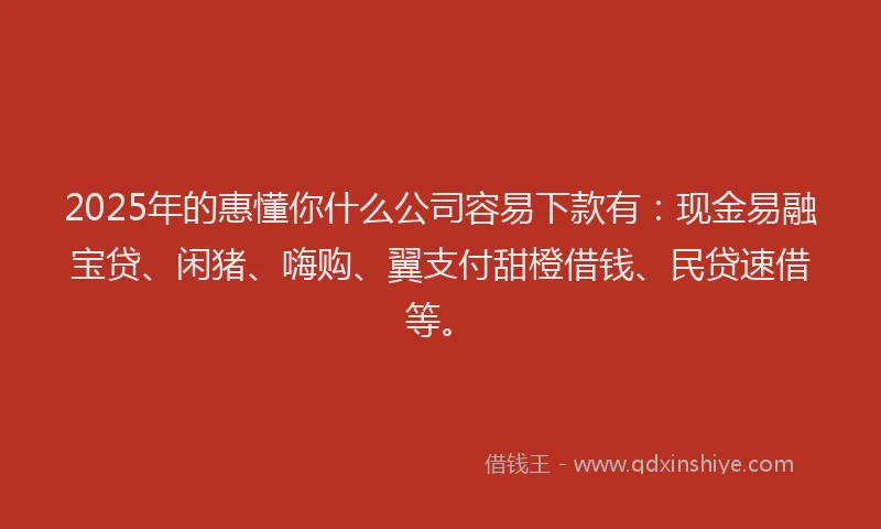 2025年的惠懂你什么公司容易下款有：现金易融宝贷、闲猪、嗨购、翼支付甜橙借钱、民贷速借等。