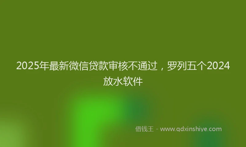 2025年最新微信贷款审核不通过，罗列五个2024放水软件