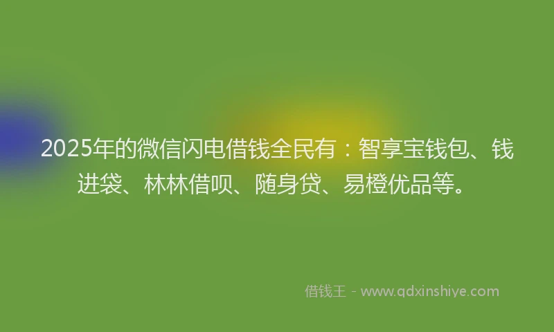 2025年的微信闪电借钱全民有：智享宝钱包、钱进袋、林林借呗、随身贷、易橙优品等。