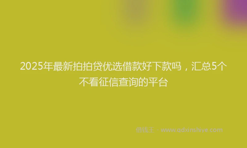 2025年最新拍拍贷优选借款好下款吗，汇总5个不看征信查询的平台