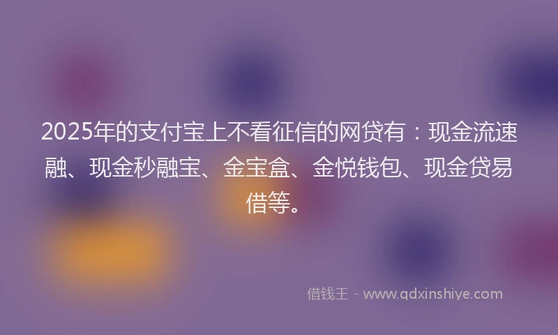 2025年的支付宝上不看征信的网贷有：现金流速融、现金秒融宝、金宝盒、金悦钱包、现金贷易借等。