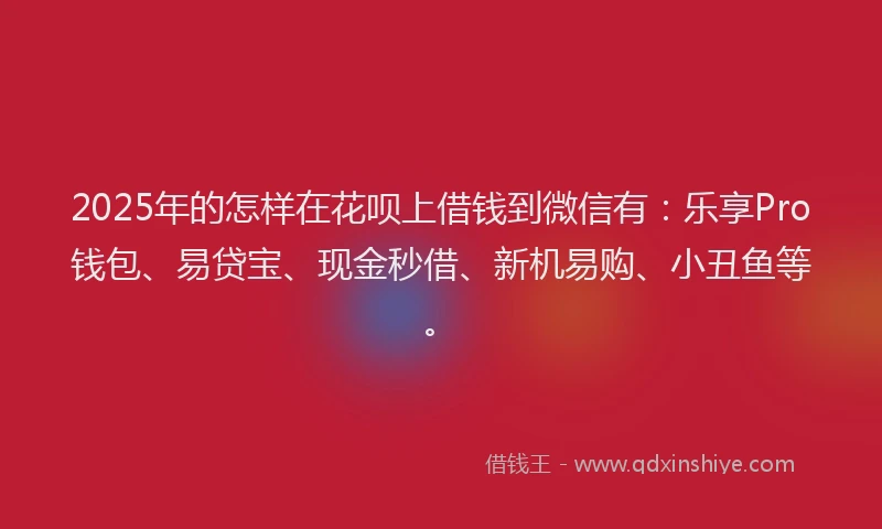 2025年的怎样在花呗上借钱到微信有：乐享Pro钱包、易贷宝、现金秒借、新机易购、小丑鱼等。