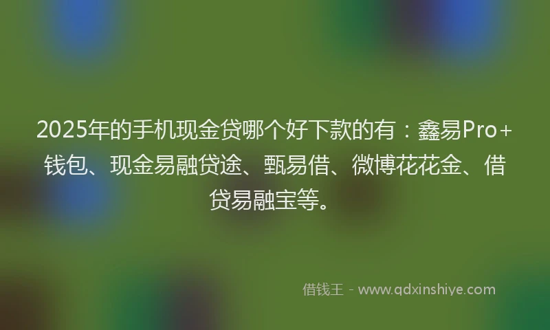 2025年的手机现金贷哪个好下款的有：鑫易Pro+钱包、现金易融贷途、甄易借、微博花花金、借贷易融宝等。
