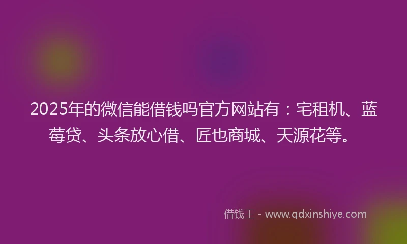 2025年的微信能借钱吗官方网站有：宅租机、蓝莓贷、头条放心借、匠也商城、天源花等。