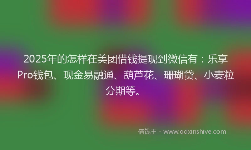 2025年的怎样在美团借钱提现到微信有：乐享Pro钱包、现金易融通、葫芦花、珊瑚贷、小麦粒分期等。