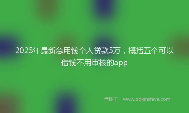 2025年最新急用钱个人贷款5万，概括五个可以借钱不用审核的app