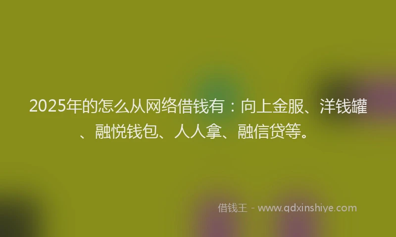 2025年的怎么从网络借钱有：向上金服、洋钱罐、融悦钱包、人人拿、融信贷等。