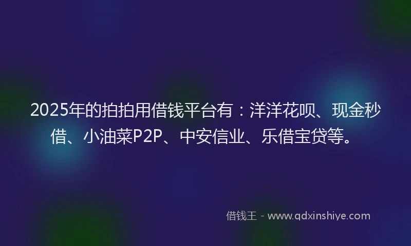 2025年的拍拍用借钱平台有：洋洋花呗、现金秒借、小油菜P2P、中安信业、乐借宝贷等。