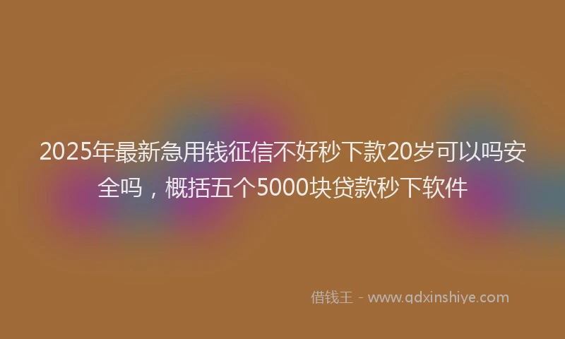 2025年最新急用钱征信不好秒下款20岁可以吗安全吗，概括五个5000块贷款秒下软件