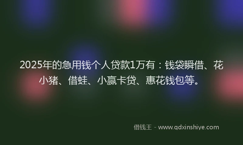 2025年的急用钱个人贷款1万有：钱袋瞬借、花小猪、借蛙、小赢卡贷、惠花钱包等。