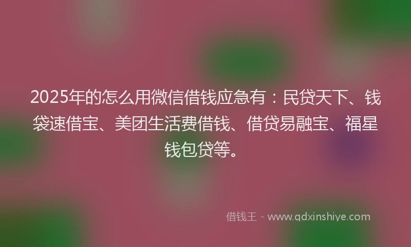 2025年的怎么用微信借钱应急有：民贷天下、钱袋速借宝、美团生活费借钱、借贷易融宝、福星钱包贷等。