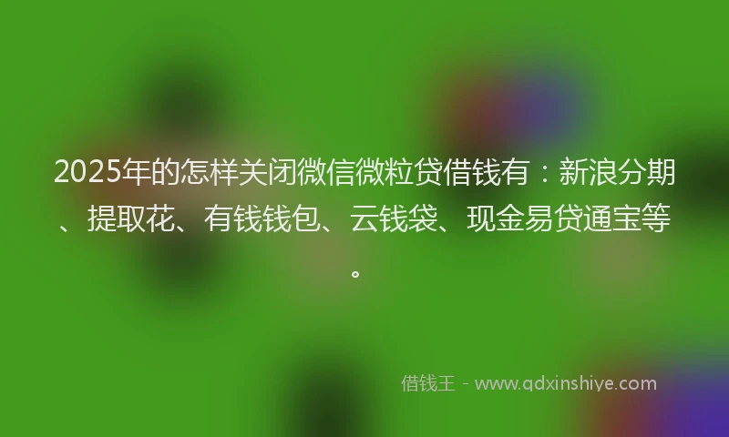 2025年的怎样关闭微信微粒贷借钱有：新浪分期、提取花、有钱钱包、云钱袋、现金易贷通宝等。