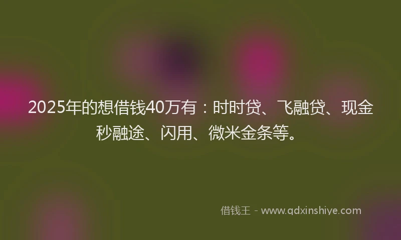 2025年的想借钱40万有：时时贷、飞融贷、现金秒融途、闪用、微米金条等。