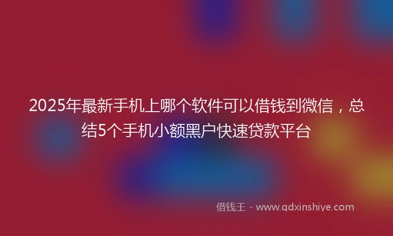 2025年最新手机上哪个软件可以借钱到微信，总结5个手机小额黑户快速贷款平台