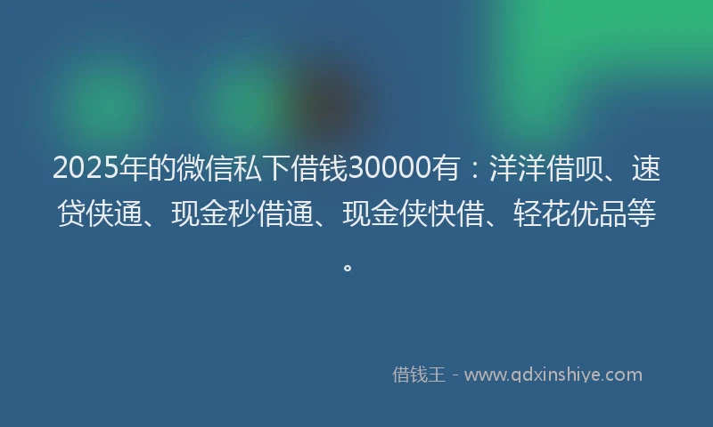 2025年的微信私下借钱30000有：洋洋借呗、速贷侠通、现金秒借通、现金侠快借、轻花优品等。