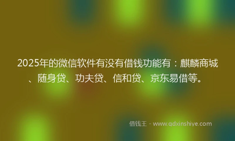 2025年的微信软件有没有借钱功能有：麒麟商城、随身贷、功夫贷、信和贷、京东易借等。