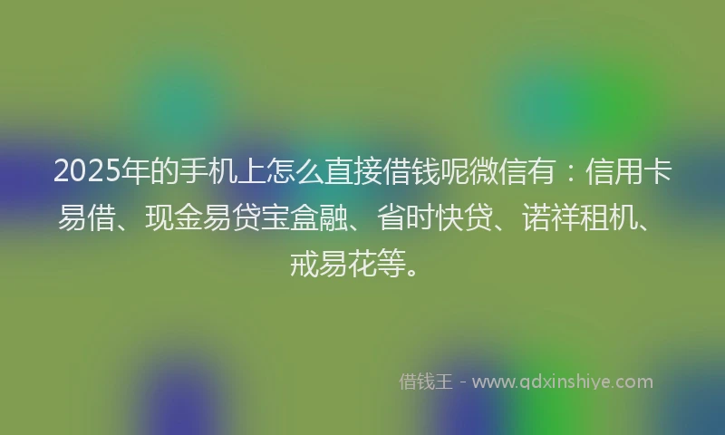 2025年的手机上怎么直接借钱呢微信有：信用卡易借、现金易贷宝盒融、省时快贷、诺祥租机、戒易花等。