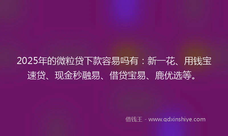 2025年的微粒贷下款容易吗有：新一花、用钱宝速贷、现金秒融易、借贷宝易、鹿优选等。