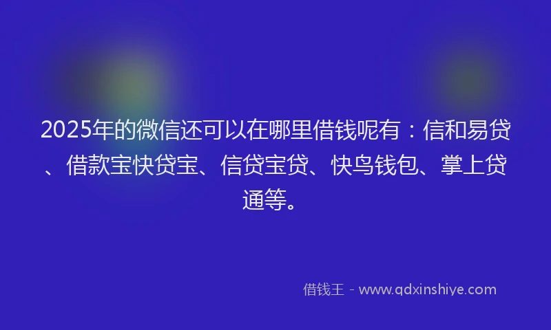 2025年的微信还可以在哪里借钱呢有：信和易贷、借款宝快贷宝、信贷宝贷、快鸟钱包、掌上贷通等。