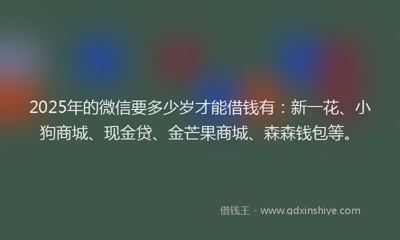 2025年的微信要多少岁才能借钱有：新一花、小狗商城、现金贷、金芒果商城、森森钱包等。