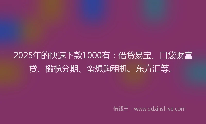 2025年的快速下款1000有：借贷易宝、口袋财富贷、橄榄分期、蛮想购租机、东方汇等。