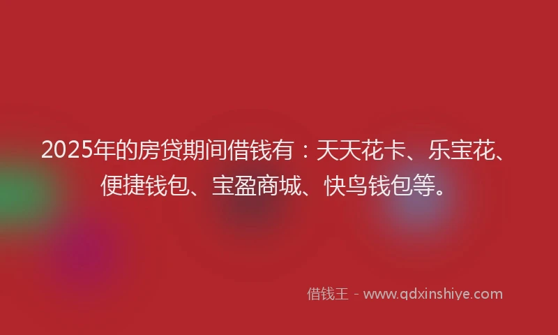 2025年的房贷期间借钱有：天天花卡、乐宝花、便捷钱包、宝盈商城、快鸟钱包等。