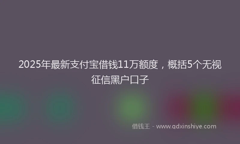 2025年最新支付宝借钱11万额度，概括5个无视征信黑户口子