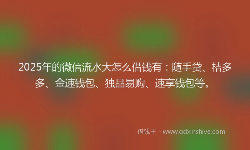 2025年的微信流水大怎么借钱有：随手贷、桔多多、金速钱包、独品易购、速享钱包等。
