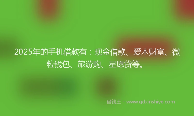 2025年的手机借款有：现金借款、爱木财富、微粒钱包、旅游购、星愿贷等。
