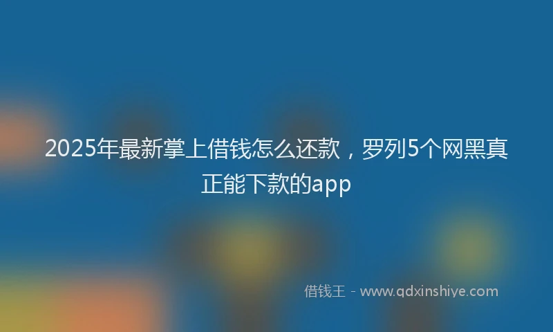 2025年最新掌上借钱怎么还款，罗列5个网黑真正能下款的app