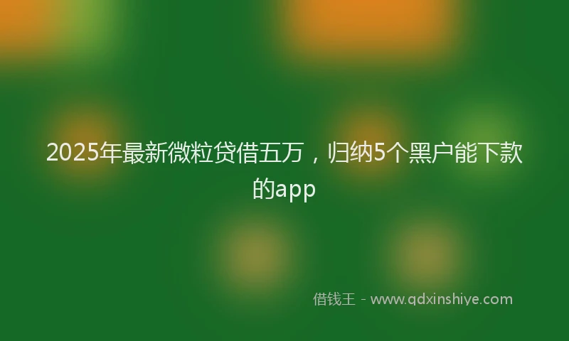 2025年最新微粒贷借五万，归纳5个黑户能下款的app