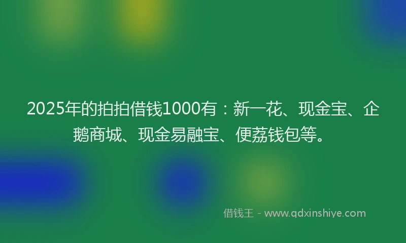 2025年的拍拍借钱1000有：新一花、现金宝、企鹅商城、现金易融宝、便荔钱包等。