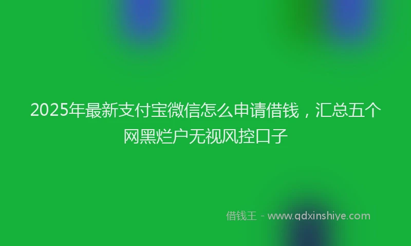 2025年最新支付宝微信怎么申请借钱，汇总五个网黑烂户无视风控口子