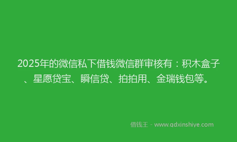 2025年的微信私下借钱微信群审核有：积木盒子、星愿贷宝、瞬信贷、拍拍用、金瑞钱包等。