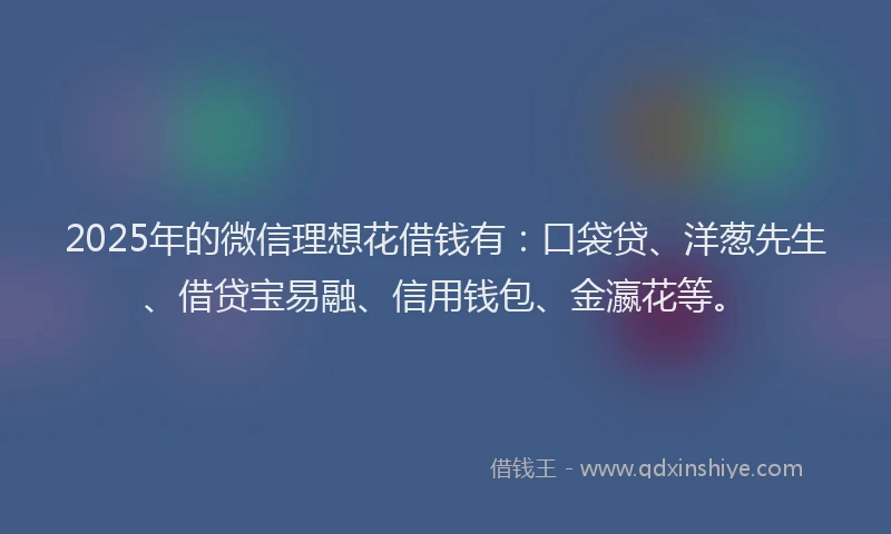 2025年的微信理想花借钱有：口袋贷、洋葱先生、借贷宝易融、信用钱包、金瀛花等。