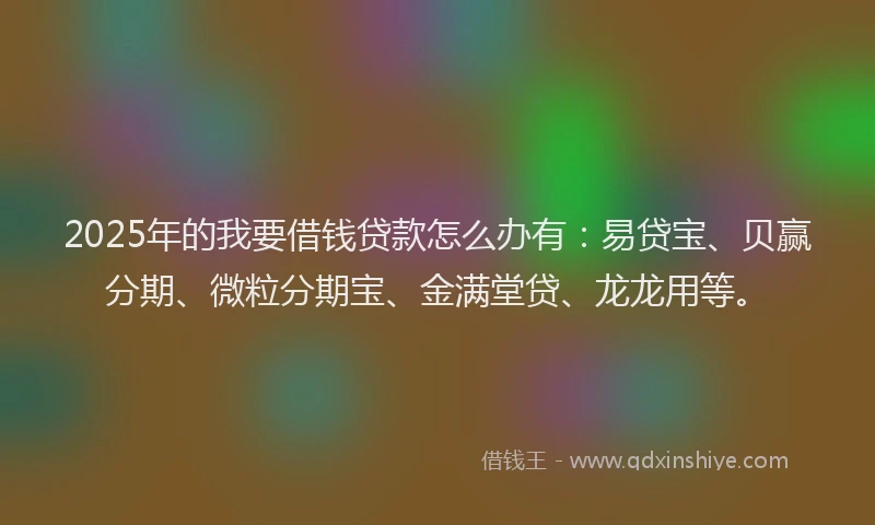 2025年的我要借钱贷款怎么办有：易贷宝、贝赢分期、微粒分期宝、金满堂贷、龙龙用等。