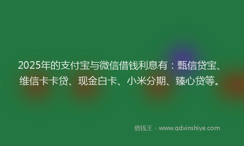 2025年的支付宝与微信借钱利息有：甄信贷宝、维信卡卡贷、现金白卡、小米分期、臻心贷等。
