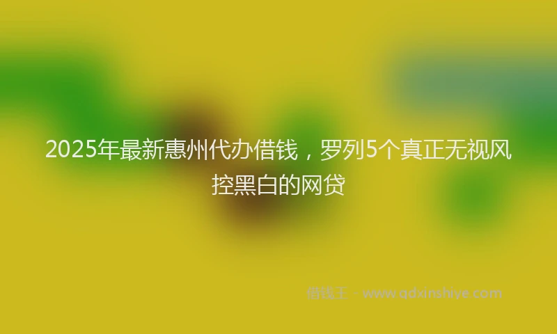 2025年最新惠州代办借钱，罗列5个真正无视风控黑白的网贷