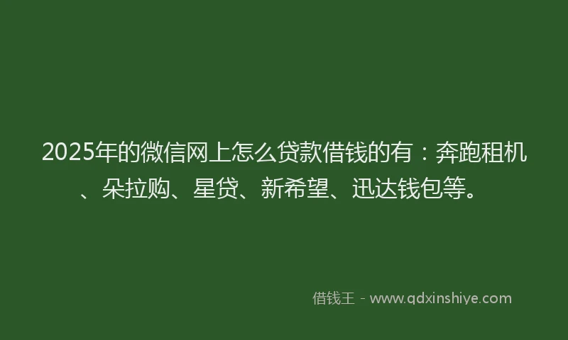 2025年的微信网上怎么贷款借钱的有：奔跑租机、朵拉购、星贷、新希望、迅达钱包等。