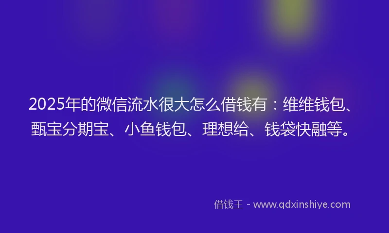 2025年的微信流水很大怎么借钱有：维维钱包、甄宝分期宝、小鱼钱包、理想给、钱袋快融等。