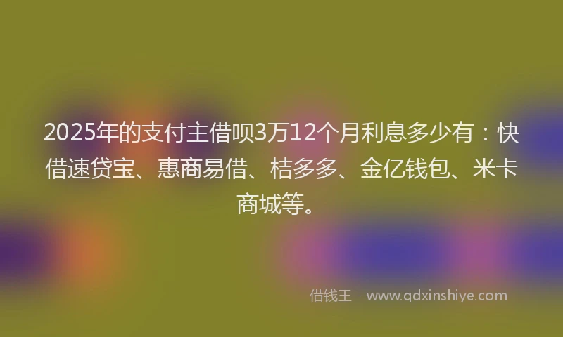 2025年的支付主借呗3万12个月利息多少有：快借速贷宝、惠商易借、桔多多、金亿钱包、米卡商城等。