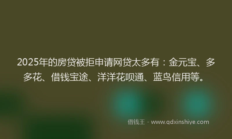 2025年的房贷被拒申请网贷太多有：金元宝、多多花、借钱宝途、洋洋花呗通、蓝鸟信用等。