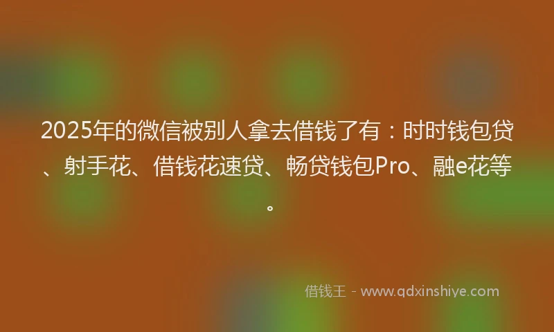 2025年的微信被别人拿去借钱了有：时时钱包贷、射手花、借钱花速贷、畅贷钱包Pro、融e花等。